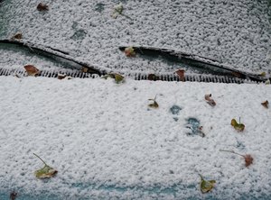 Nyc Snow — Elina Brotherus