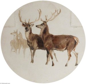 Deer In A Landscape (studies Of Deer) — Sir Edwin Henry Landseer, Naturalistic
