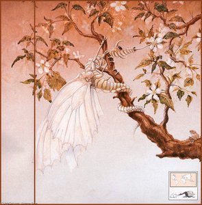 Japanese Butterfly Lizard — Graeme Base