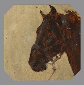 Study Of The Horse's Head — Maksymilian Dionizy Gierymski