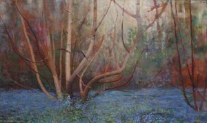 Bluebells — Benjamin Haughton