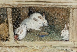 The Rabbits — Pierre-eugène Montézin