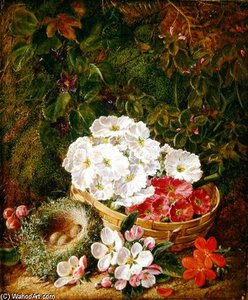 Still Life Of Bird's Nest