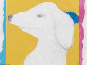 Craigies Dog Waynie Craigieaitchison — Colin Self