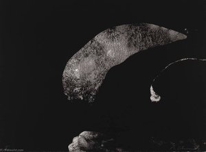 Edgar Allan Poe V, From The Suite To Edgar Allan Poe — Nathan Oliveira