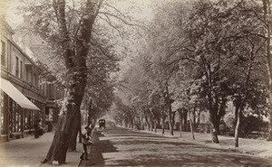 Chettenham, The Promenade (no. 659) — Francis Bedford