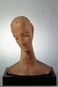 Head of the Large Pensive