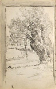 Pollard Willow 1 — John Ottis Adams