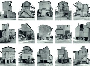 Gravel Plants — Bernd Luz