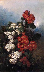 Flowers And Butterflies — John Williamson