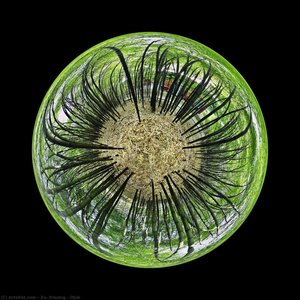 Ojuk — Zu, Doyang, Contemporary Photography