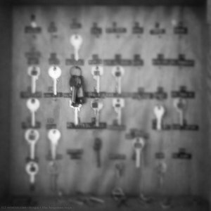 The Forgotten Keys — Alfred Freddy Krupa