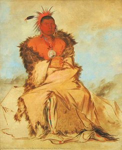 Loo Rá Wée Re Coo, Bird That Goes To War, A Tapage Pawnee — George Catlin, American Romanticism