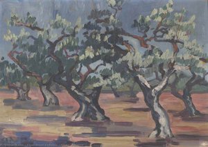 Olives, Provence