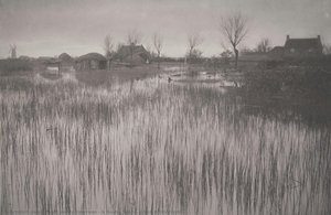 A Rushy Shore, plate XXXV from 