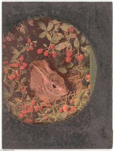 Untitled (rabbit In Raspberry Patch) — Joseph Cornell