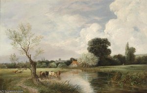 Backwater — George Cole Senior