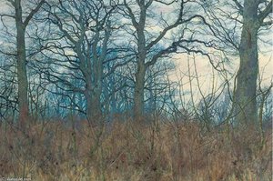 Woodland Scene At Twilight