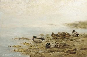 Mallards At The Water's Edge — George Edward Lodge