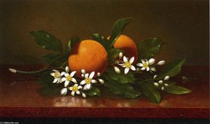 Two Oranges With Orange Blossoms — Martin Johnson Heade