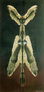 Women Or The Spirit Of The Night — Remedios Varo