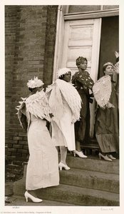 Pageant Of Birds — Eudora Alice Welty
