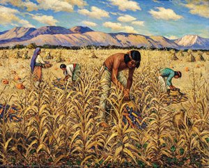 Corn Harvest at Santo Domingo