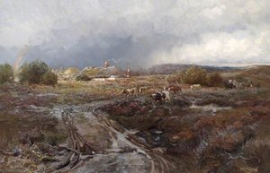 Dorset Landscape