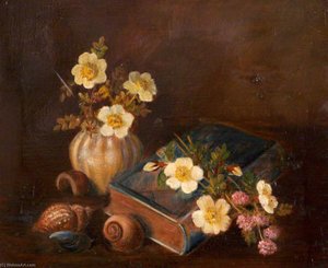Still Life of Shells and a Casket