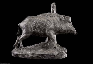 Wild Boar