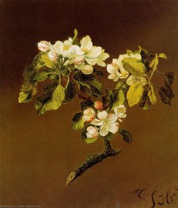 A Spray Of Apple Blossoms — Martin Johnson Heade