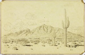 Untitled (transfer Drawing For Camelback Mountain, Phoenix) — George Elbert Burr, Realism