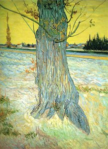 Trunk Of An Old Yew Tree — Vincent Willem Van Gogh, Post-impressionism