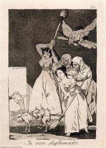Ya Van Desplumados — Francisco José De Goya Y Lucientes, Romanticism