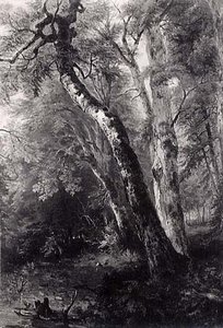 Study Of Trees, (painting) — Asher Brown Durand