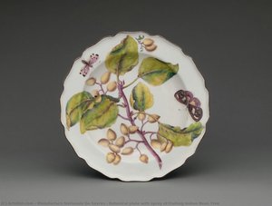 Botanical Plate With Spray Of Fruiting Indian Bean Tree — Manufacture Nationale De Sèvres