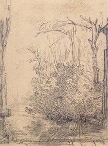 Overhanging Bushes In A Ditch — Rembrandt Peale