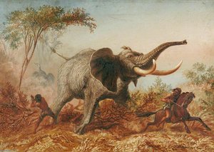 Elephant Hunting With The Sword, Abyssinia — Thomas Baines