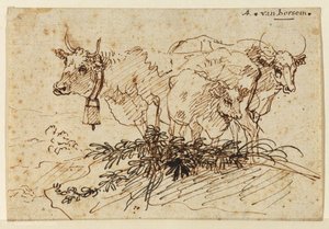 Study Of Group Of Cows — Anthonie Van Borssum