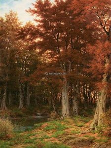 Waldlichtung