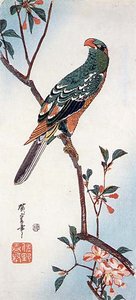 Aronia And Parrot — Ando Hiroshige
