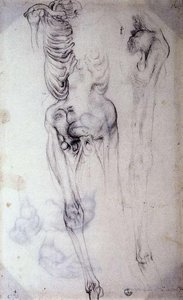 Anatomical Study — Jacopo Carucci