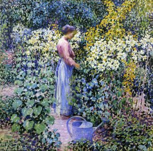Lily Garden