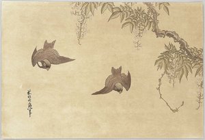 Birds And Wisteria — Katsushika Hokusai