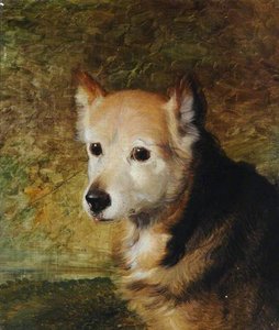 'lady' — Abel Hold