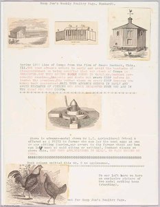 Goop Joe's Weekly Poultry Page. Number 3 — Joseph Cornell