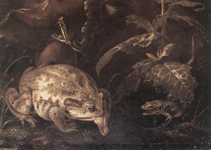 Still-life With Insects And Amphibians (detail) — Otto Marseus Van Schrieck