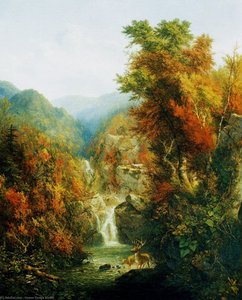 A Wilderness Pool