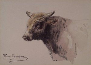Head Of A Bull 1 — Rosa Bonheur