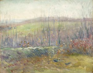 Landscape With Trees And Field — Julian Alden Weir